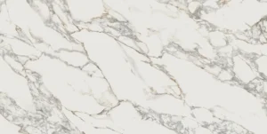 TOP CALACATA VAGLIE BKA SEDA PRI